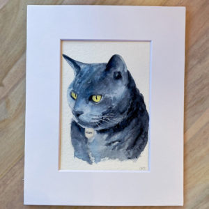 Pet portrait